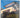 Australian Architecture Now by Davinia Jackson, Chris Johnson