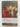 Lives of the Caesars (Oxford World's Classics) by Suetonius,Catharine Edwards