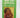 Hope and Suffering : Sermons and Speeches by Bishop Desmond Tutu
