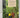 Wellington's Living Cloak: a guide to the natural plant communities by Isobel Gabites