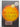 Solar (Large Print) by Ian McEwan
