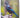 New Zealand Birds by Bronwen Wall
