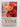 A Fatal Inversion by Barbara Vine (Copy)