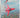All Color World of Aircraft by David Mondey