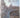 The Churches of Rome by Peter Gunn
