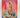 One Faith?: Non-realism and the World of Faiths by David A. Hart