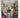Cricket Volume 3 Number 2 by Unknown