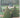 The History of Garden Design: The Western Tradition from the Renaissance to the Present Day by Janet Waymark, Georges Tyssot, Monique Mosser, Georges Teyssot