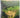 Rievaulx Abbey – Community, Architecture & Memory by Peter Fergusson