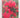 A Guide to Pukeiti by Pukeiti Rhododendron Trust