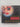 Books: Century of the Greatest Books, Writers, Characters, Passages and Events That Rocked the Literary World (Little Black Book) by Lucy Daniel