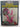 Woman's Own Book of Flower Arrangements by Unknown