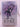 Print Books - Down to the Bone (Quantum Gravity 5) by Justina Robson - Book Express