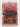 Setting the East Ablaze: Lenins Dream of an Empire in Asia by Peter Hopkirk