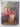 The British as Art Collectors: From the Tudors to the Present by James Stourton,Charles Sebag-Montefiore