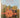Rustic: Country Houses, Rural Dwellings, Wooded Retreats by Bret Morgan