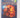 Brothers to the Death (The Saga of Larten Crepsley, Book 4) by Darren Shan