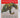 Dinosaur in a Haystack by Stephen Jay Gould