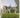 The English Parsonage in the Early Nineteenth Century by Timothy Brittain-Catlin