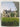 The English Parsonage in the Early Nineteenth Century by Timothy Brittain-Catlin