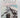 Scott's Last Biscuit: The Literature of Polar Exploration by Sarah Moss