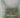 The garden: a history in landscape and art by Filippo Pizzoni