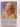 The Virago Book of Love & Loss: Stories from the Heart by Georgina Hammick (editor) - Book Express - Used Print Books