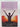 Inspiration Meditation & Personal Wellbeing by Ken Mellor