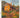 English Cottages and Farmhouses by Olive Cook