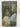 Three Gothic Novels: The Castle of Otranto; Vathek; Frankenstein by Horace Walpole, William Beckford, Mary Shelley, Peter Fairclough, Mario Praz - Book Express - Used Print Books