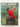 Golf Skills: The Player's Guide by Roger Hyder