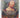 Real Tudors: Kings and Queens Rediscovered by Tarnya Cooper, Charlotte Bolland