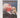 Clinton: the president they deserve by Martin Walker