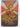The Hive Queen (Wings of Fire 12) by Tui T. Sutherland - Book Express - Used Print Books