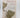 Gift from the Sea by Anne Morrow Lindbergh