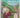 My New Life With Jesus (Kid's Stuff 1) by G. Milton Smith, Natalie Smith