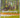 Biodiversity Of Temperate Forests by Greg Pyers