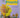 Plants (QED super science) by Richard Robinson