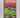 Superfoods (Let's Get Cooking) by Jasmin Peppiatt (editor)