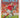 Tactics (Soccer School Series) by Clive Gifford
