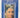 Elizabeth Taylor: The Last Star (Book Club Associates) by Kitty Kelley