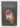 The Portrait of Mr W.H (Hesperus Classics) by Oscar Wilde,Peter Ackroyd