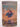 Priestess of Avalon by Marion Zimmer Bradley, Diana L. Paxson