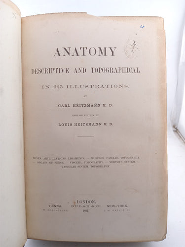 Anatomy: Descriptive and Topographical by Carl Heitzmann