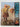 Estonia by Mary M. Rodgers, Tom Streissguth, Colleen Sexton (Editors)