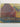 Claude Monet Painter of Light by Auckland City Art Gallery
