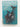 Whales & Dolphins of New Zealand and Australia: an identification guide by Alan. N. Barker