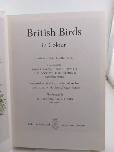British Birds in Colour by R. S. R. Fitter (Editor)