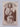 Geronimo: His own Story by S.M. Barrett, Fredrick W. Turner III