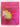Seasons: A Journey Through the New Zealand Garden by Jack Hobbs, Sally Tagg